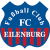 Hallescher FC